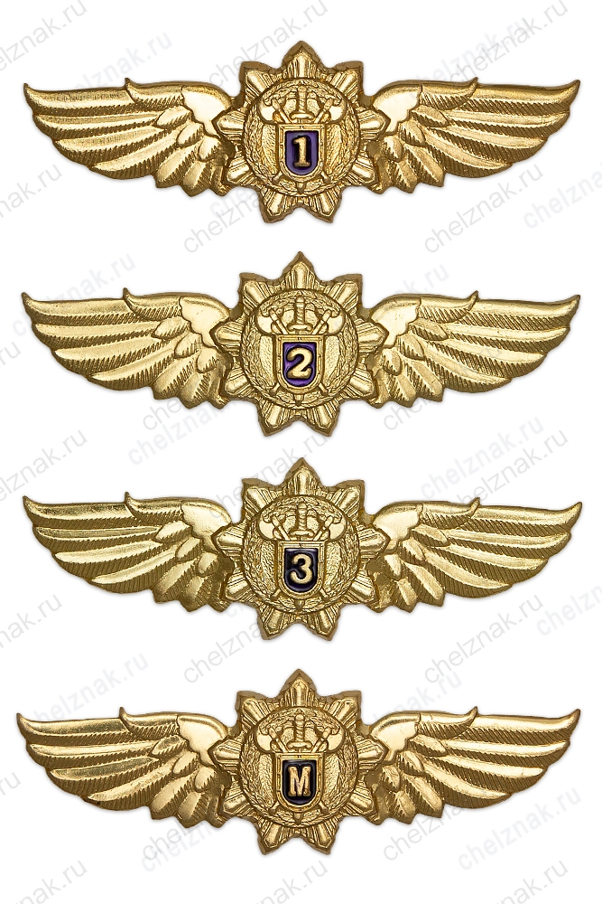 Знак классности ФСО