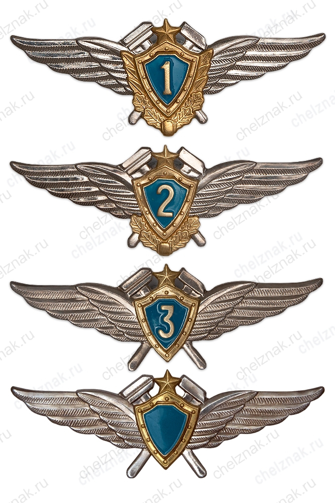 Знак классности ВКС (технический специалист)