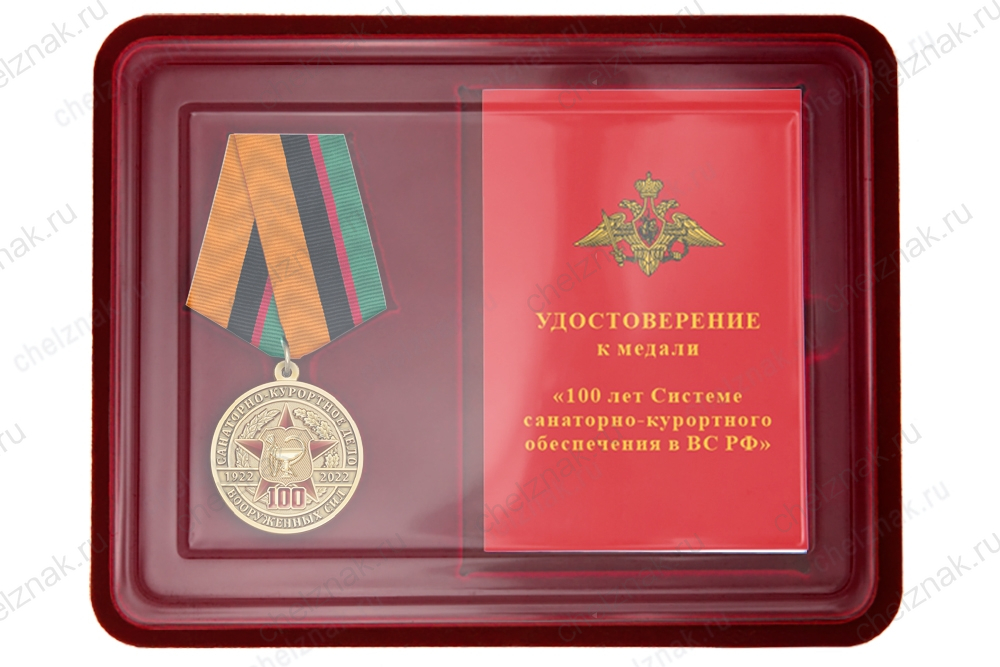 Наградной комплект к медали «100 лет Системе санаторно-курортного обеспечения в ВС РФ»