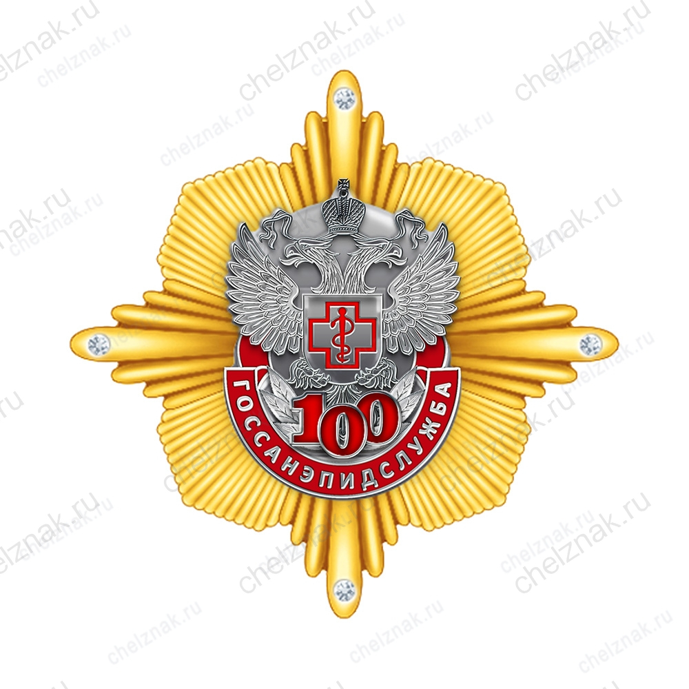 Знак «100 лет ГОССАНЭПИДСЛУЖБЕ России» с бланком удостоверения