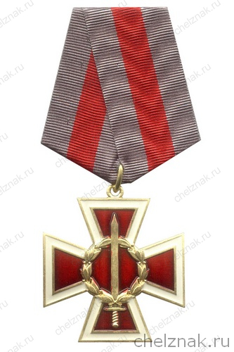 Знак (крест) казачьих войск «За спецоперацию» с бланком удостоверения