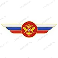 Должностной знак начальника Национального центра управления обороной РФ №5