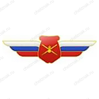 Должностной знак начальника воинского формирования, ведущего научную деятельность (СВ) №25