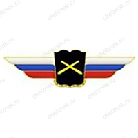 Должностной знак начальника военной академии (РВиА) №36