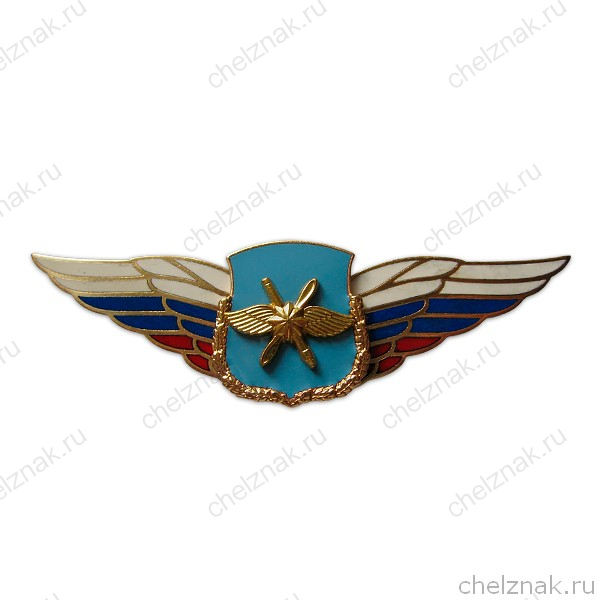 Должностной знак командира дивизии и ей равного соединения (ВКС) №48