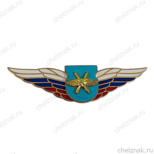 Должностной знак командира отдельного батальона и ему равной воинской части (ВКС) №51