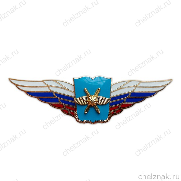 Должностной знак начальника военной академии (ВКС) №52