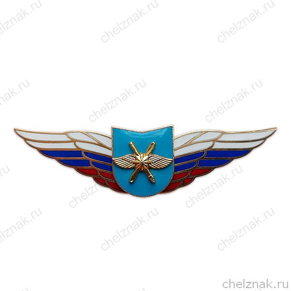 Должностной знак командира учебной воинской части и другого воинского формирования (ВКС) №54