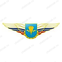 Должностной знак командира бригады и ей равного соединения (ВДВ) №81