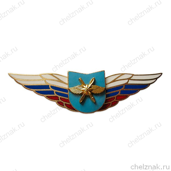 Должностной знак командира учебной воинской части и другого воинского формирования (ВДВ) №85