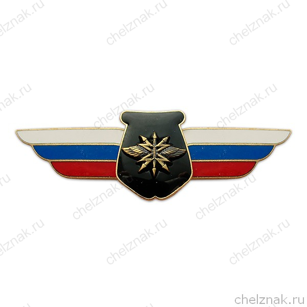 Должностной знак начальника воин. формирования, ведущего научную деятельность (Войска связи) №98