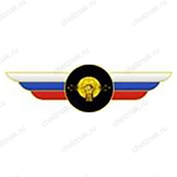 Должностной знак начальника войск радиоэлектронной борьбы Вооруженных Сил Российской Федерации №99
