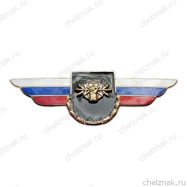 Должностной знак командира бригады и ей равного соединения (РЭБ) №100