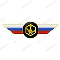 Должностной знак начальника войск радиационной, химической и биологической защиты ВС РФ №116