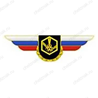 Должностной знак командира бригады и ей равного соединения (РХБЗ) №117