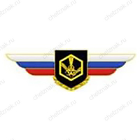 Должностной знак командира полка и ему равной воинской части (РХБЗ) №118