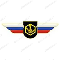 Должностной знак командира отдельного батальона и ему равной воинской части (РХБЗ) №119