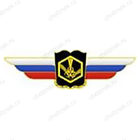 Должностной знак начальника военной академии (РХБЗ) №120