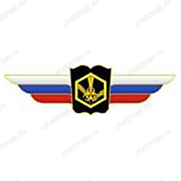 Должностной знак начальника высшего военного училища, проф. образовательной организации (РХБЗ) №121