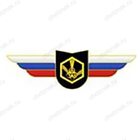 Должностной знак командира учебной воинской части и другого воинского формирования (РХБЗ) №122