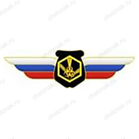 Должностной знак начальника воинского формирования, ведущего научную деятельность (РХБЗ) №123