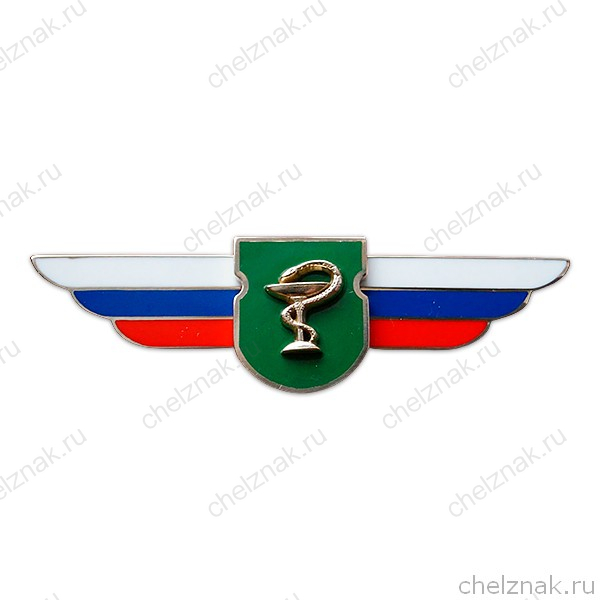 Должностной знак командира медицинского отряда (Военно-медицинская служба) №128