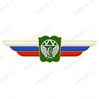 Должностной знак начальника общеобразовательной организации (ЖДВ) №145
