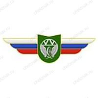 Должностной знак командира учебной воинской части и другого воинского формирования (ЖДВ) №146