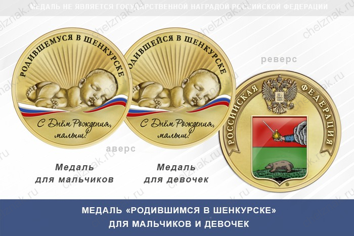Медаль «Родившимся в Шенкурске»