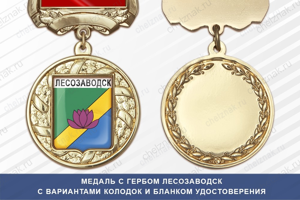 Медаль с гербом города Лесозаводск Приморского края с бланком удостоверения