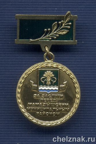 Знак «За заслуги перед  Мамадышским районом»