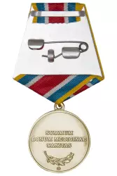 Реверс награды Медаль «100 лет санитарной авиации России» с бланком удостоверения