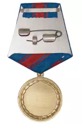 Реверс награды Медаль «65 лет добровольным народным дружинам (ДНД)» с бланком удостоверения