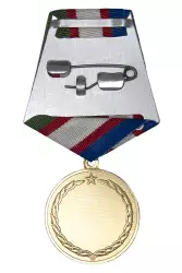 Реверс награды Медаль «195 лет медицинской службе УИС» с бланком удостоверения