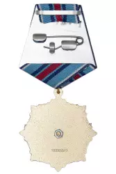 Реверс награды Орденский знак «100 лет гражданской авиации» с бланком удостоверения