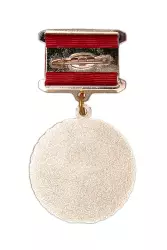 Реверс награды Медаль «За безупречный труд в здравоохранении» d 36 мм с бланком удостоверения