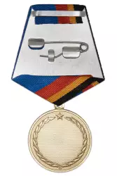 Реверс награды Медаль «120 лет Радиоэлектронной разведке ВС РФ» с бланком удостоверения