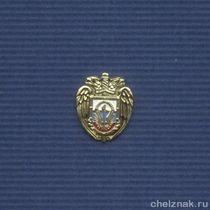 Знак фрачный «Академия ФАПСИ»