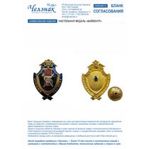 Нагрудный знак "Лучший эксперт"