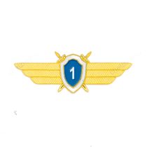 Нагрудный знак военных следственных органов СК РФ «Квалификационный класс» 1 класс