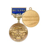 Медаль «Ветеран инженерно-авиационной службы ГА» с бланком удостоверения
