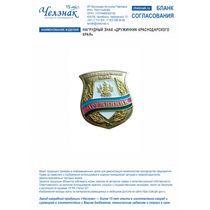 Нагрудный знак "Дружинник Краснодарского края"
