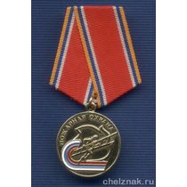 Медаль «За заслуги. ППС ФПС МЧС России» с бланком удостоверения