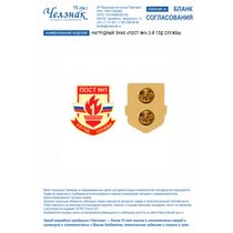 Нагрудный знак «Пост №1» 2-й год службы