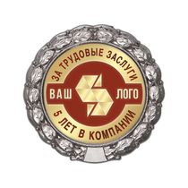 Знак «5 лет в компании. За трудовые заслуги»