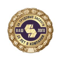 Знак «20 лет в компании. За трудовые заслуги»