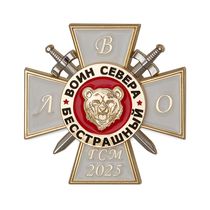 Знак ЛВО «Воин севера» (ГСМ 2025)