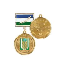 Медаль «95 лет Благоварскому району Республики Башкортостан» с бланком удостоверения
