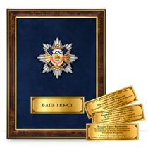 Панно наградное с орденским знаком «330 лет ВМФ»