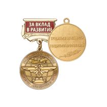 Медаль «За вклад в развитие инженерно-авиационной службы ГА» с бланком удостоверения